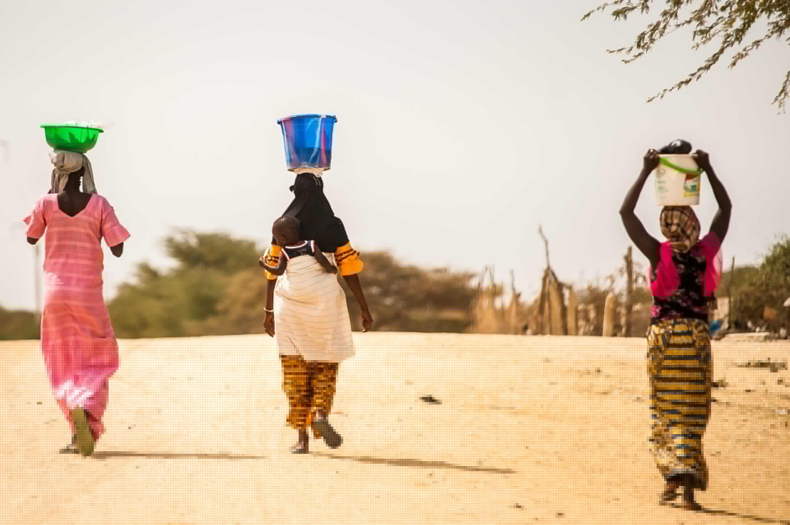 Comment on Fighting for change in Senegal, lesbian activist sees a long, difficult road ahead by Senegal: Anal testing is being expanded to include heterosexual women