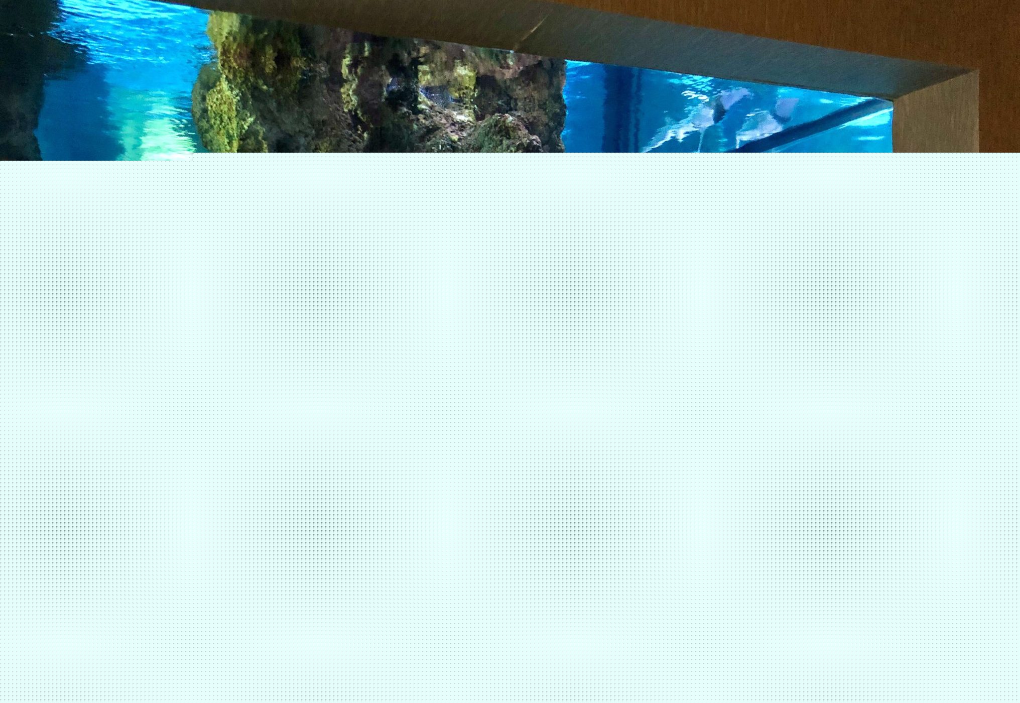 Luxe Aquariums & Grail Fish with Fluid Dynamics International