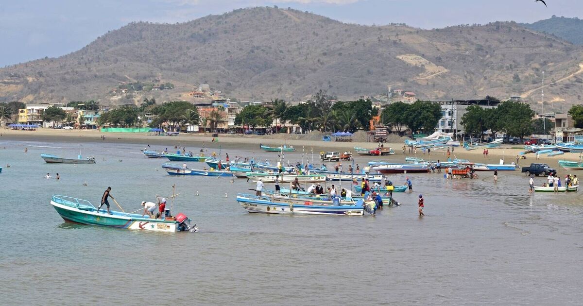 Gruesome drug cartel warning as five human heads strung up on beach
