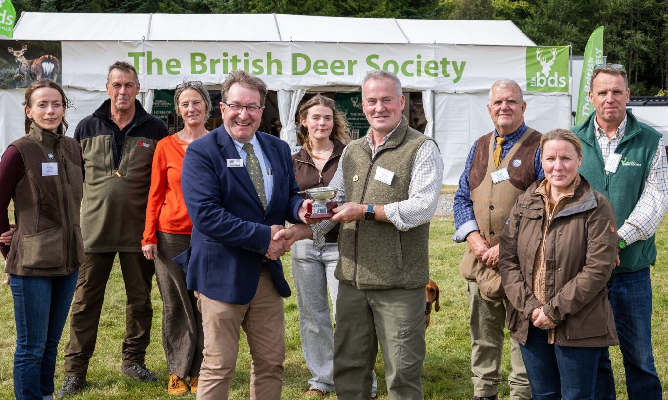 Gallery: Highlights from Moy Country Fair 2026