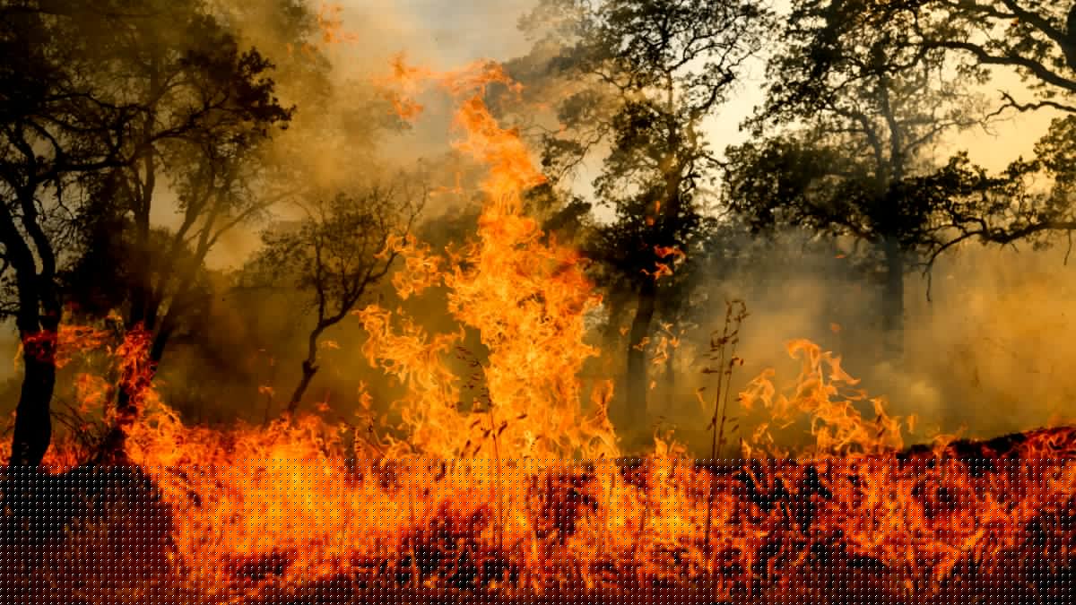 Body found in Calaveras County home burned by wildfire