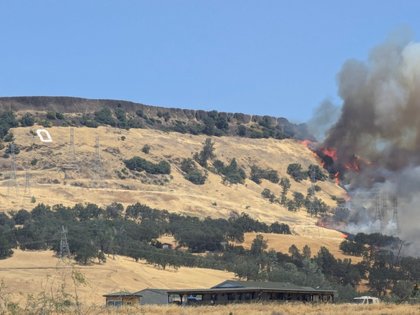 Thomson Fire arsonist receives 20 year sentence