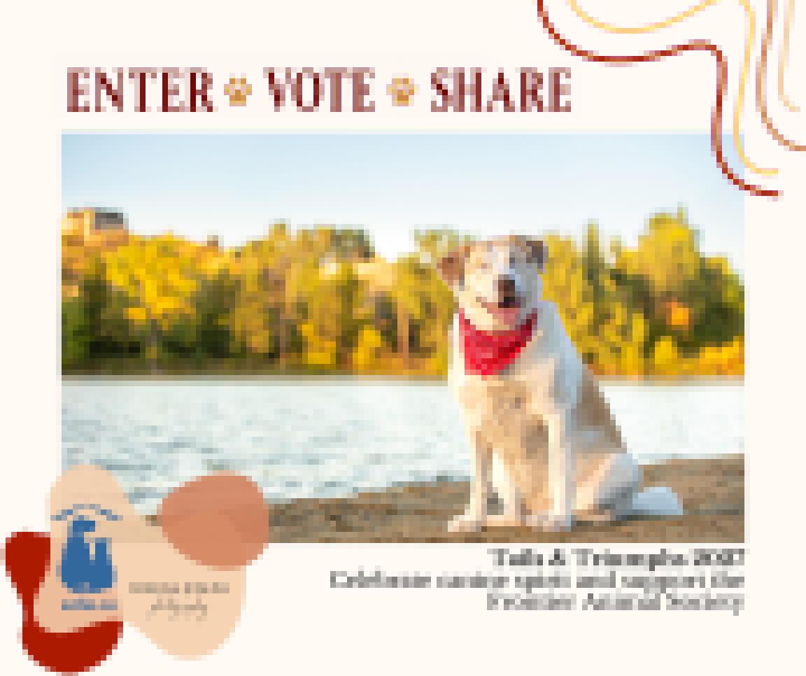 Tails and Triumphs calendar photo contest