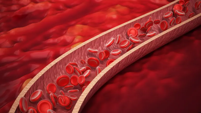 Vaderis hauls in $152M to test an AKT-targeting drug