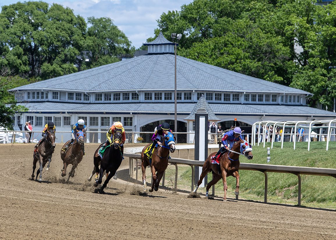 Letter to the Editor: This is Not Just About the Preakness
