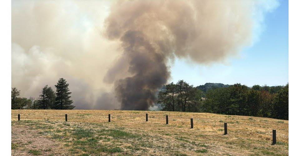 Le Creusot. Incendie : 4,5 hectares brûlés, des pompiers de Côte-d'Or en renfort et 88 enfants évacués