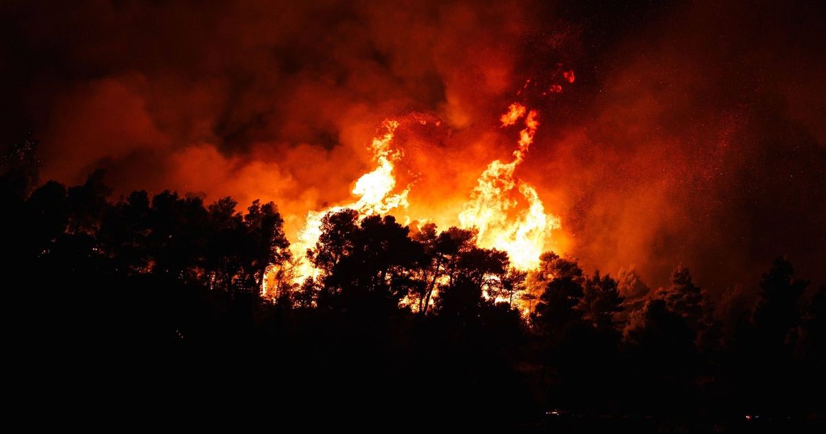 Šest požara u Srbiji, sledi novi toplotni talas: Fokus na gašenju vatre u Deliblatskoj peščari