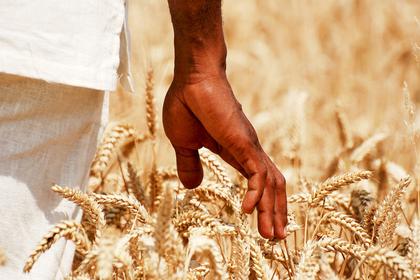 Nigeria, Brazil sign $1B deal to scale up farming and energy