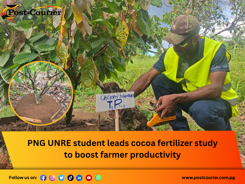 PNG UNRE student leads cocoa fertilizer study to boost farmer productivity