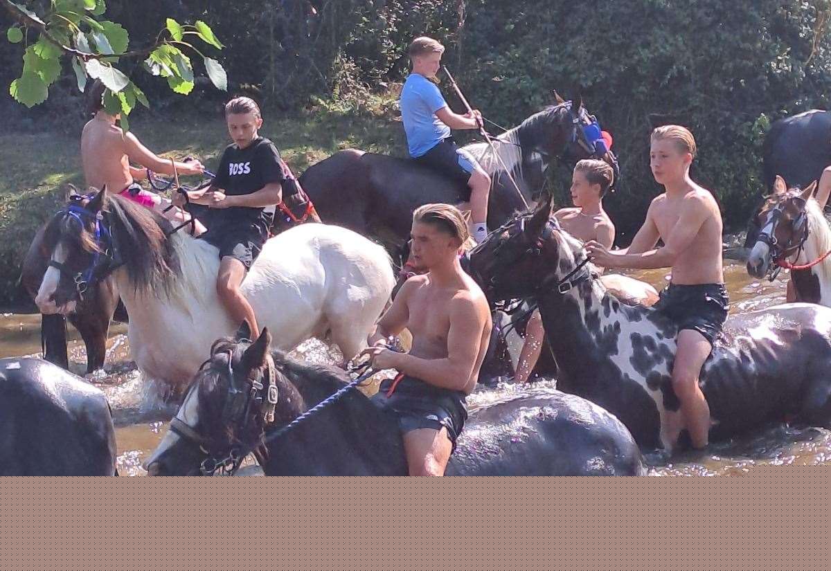 Historic New Forest pony drive set to return this weekend despite equine flu deaths