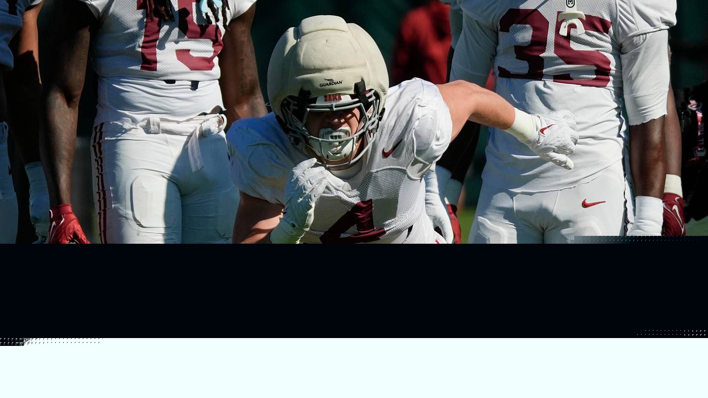 Sophomore LB Luke Metz embodies the traits that Kane Wommack wants from Alabama's defense