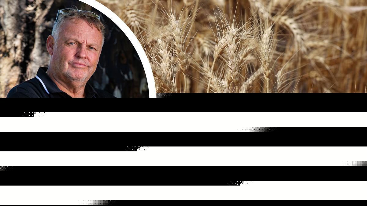 ‘Rare opportunity’: Farmers urged to vote in ‘historic’ grain levy review to examine alternative options