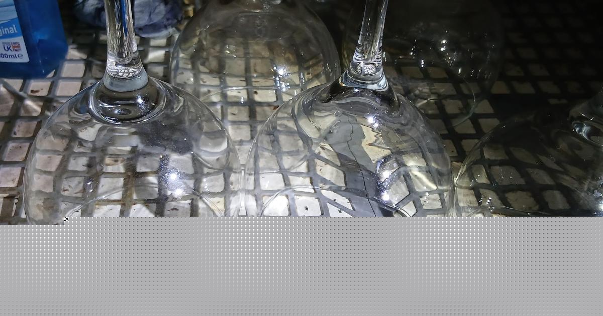 'Filthy' restaurant shut as cockroach found floating in water at bar