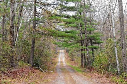 Residents propose community role in land stewardship, increased accessibility of DCR trails in forum