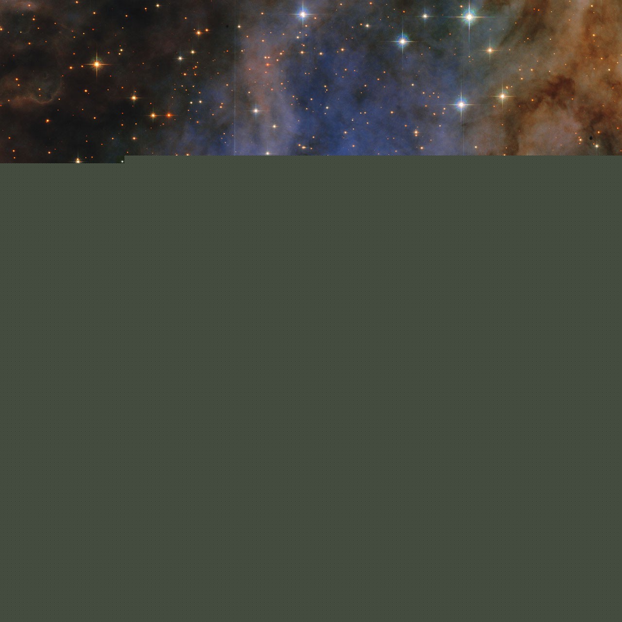 Community Science (Ad ASTRA) Workshop Near Capacity