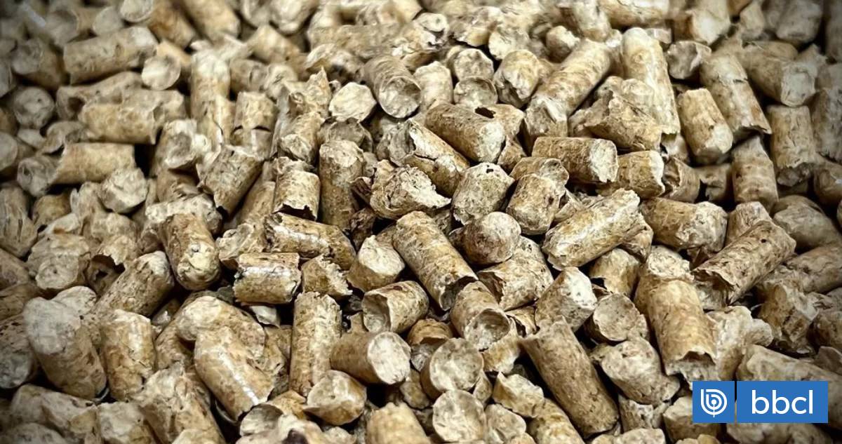 Vecinos de Valdivia denuncian escasez de pellet durante las últimas semanas en plena temporada de frío