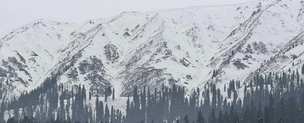 Fresh Western Disturbance to Bring Rain, Snowfall in J&K on Feb 1 & 2: MeT