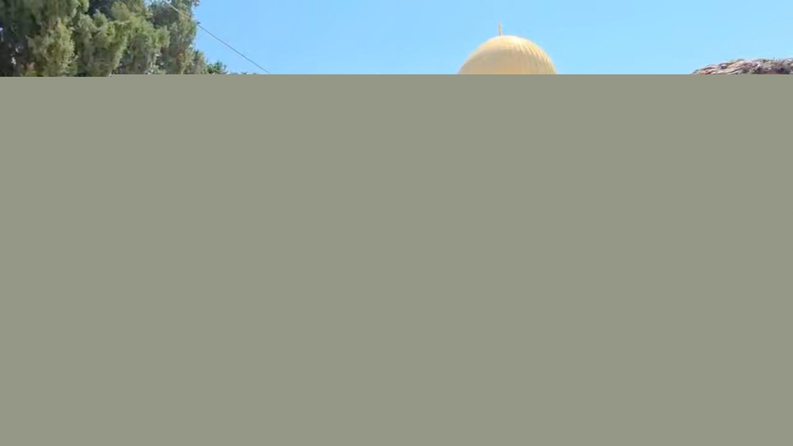 Eight Muslim countries condemn mass Israeli raid on Al-Aqsa