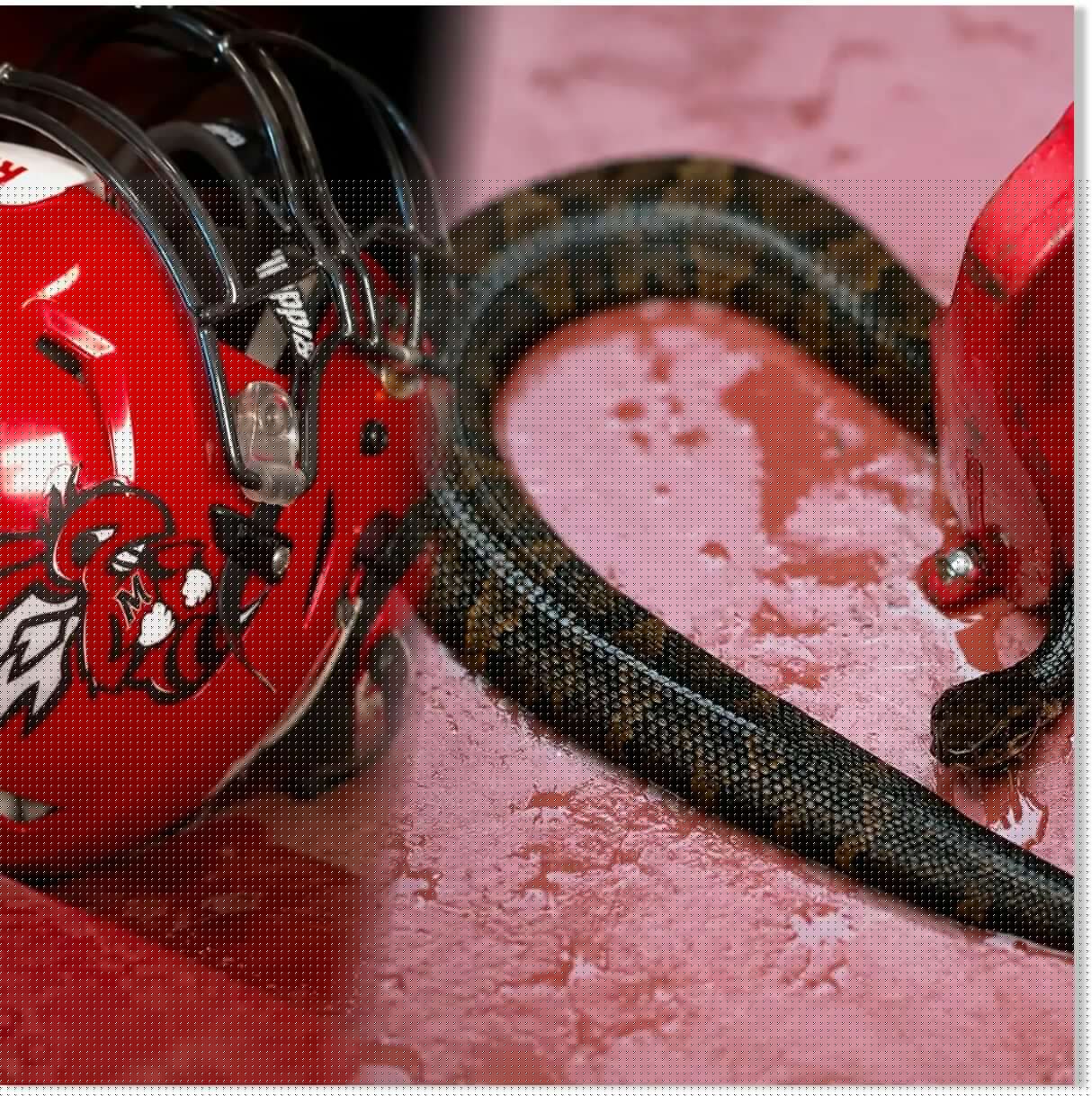 Venomous snake found inside high school football player's helmet in Maumelle, Arkansas