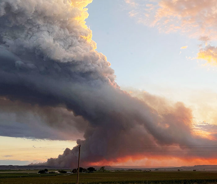 Cattlemen’s disaster recovery fund generates $2M-plus