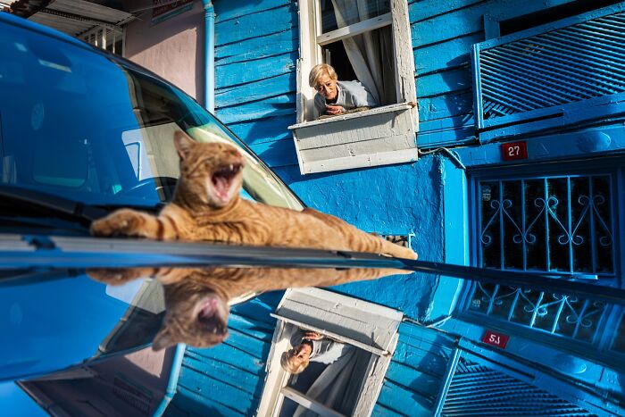 47 Images From The Edge Street Photography Awards That Turn Ordinary Scenes Into Art And Comedy