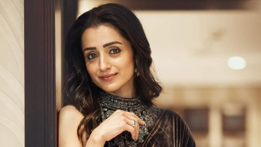 ‘Drama At This Age…’: Trisha Krishnan Shares Cryptic Post After Vijay’s Wife Withdraws Divorce Plea; Udhayanidhi Stalin’s Remark
