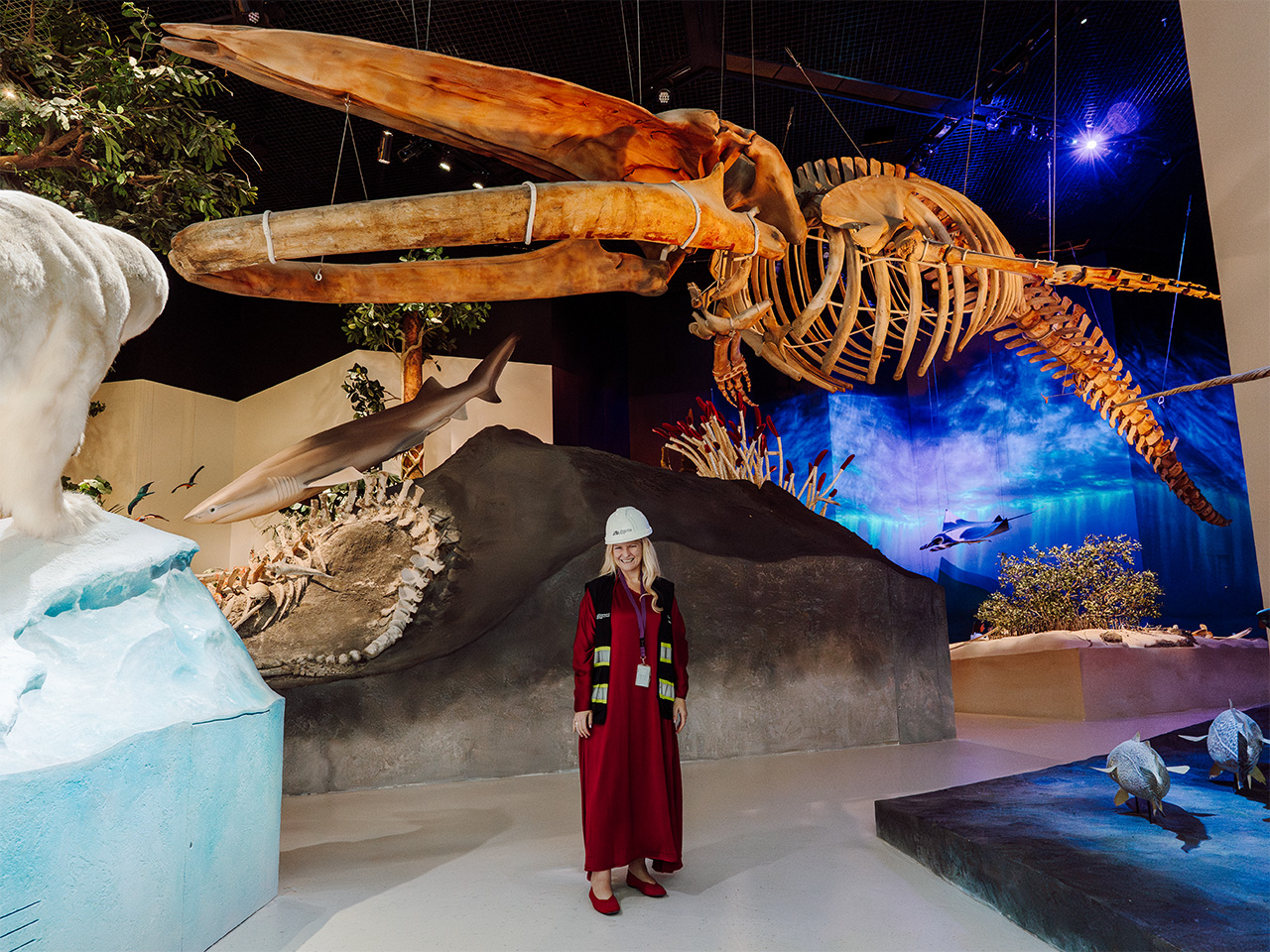 How a 25-metre-long beached whale made its way from Canada to the UAE