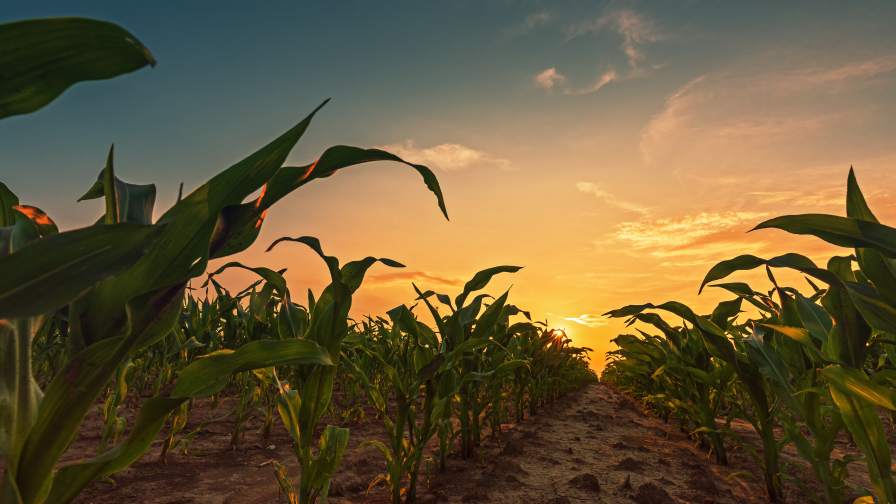 The End of Export-Led Globalization: How AgroFusion Is Redefining Competitive Advantage