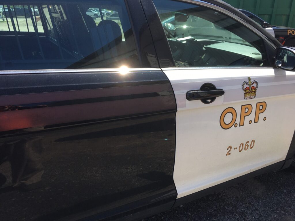 Police searching for missing woman