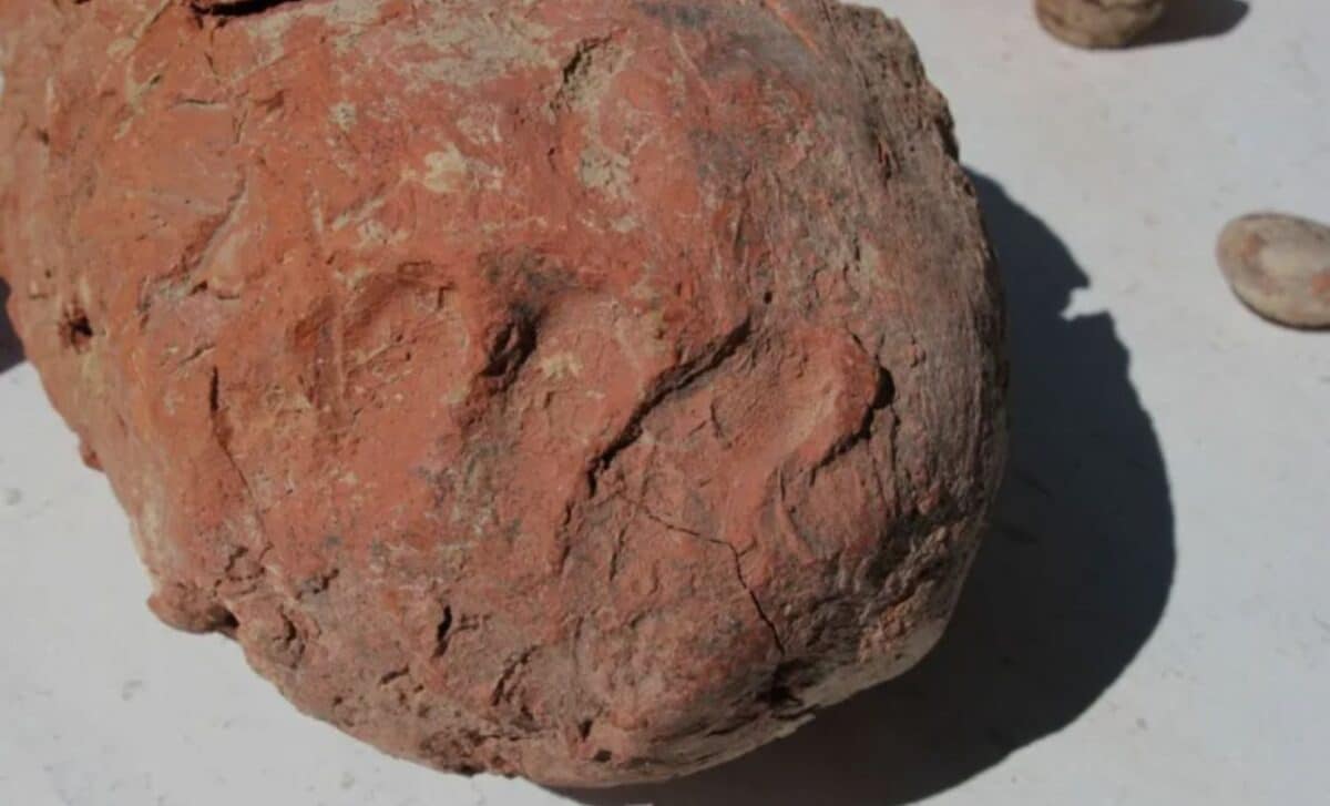 Scientists Found Fingerprints on Pottery Preserved in Clay for 8,000 Years, What They Revealed Was Unexpected