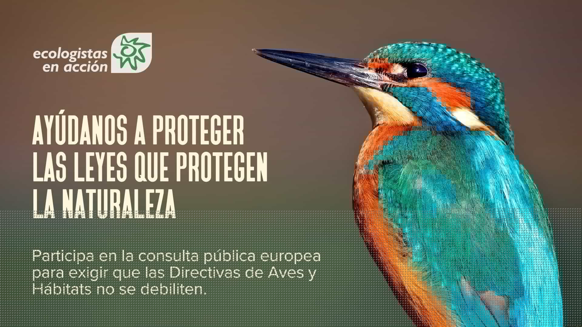 Urgent!  Ajuda’ns a protegir les lleis que protegeixen la natura