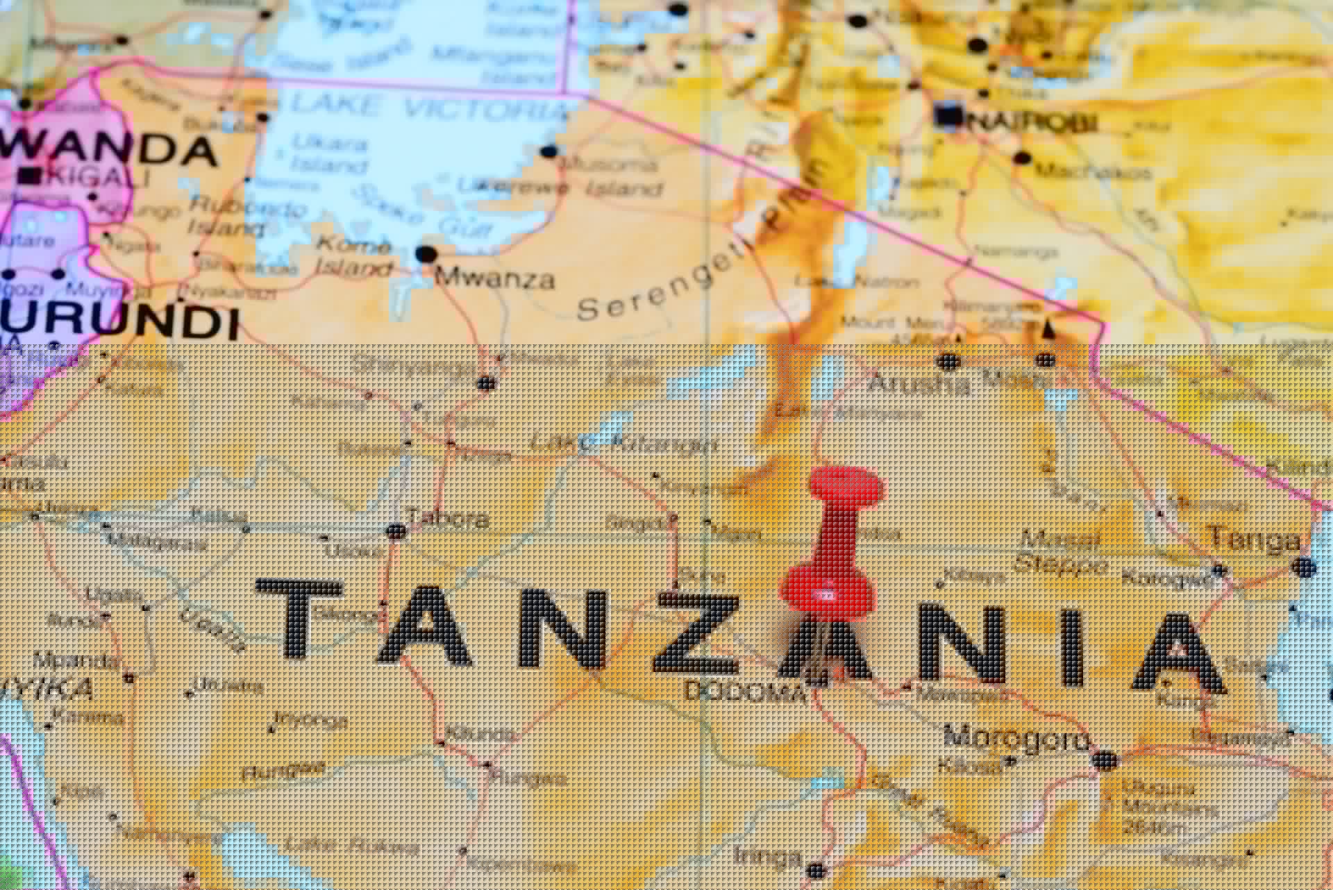 Tanzania relaxes forex rules to draw foreigners to bonds