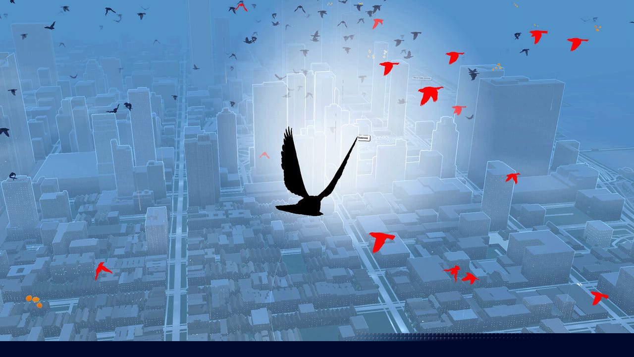 Pigeon: A Love Story - Official Release Date Trailer