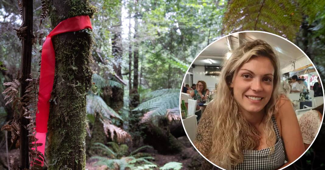 'Just in shock': bushwalker reveals what led to Celine Cremer findings