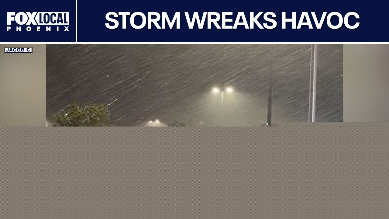 Monsoon mayhem; when a mental health crisis unfolds on social media | FOX 10 Talks