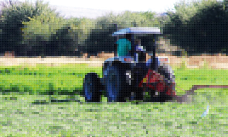 Minimum wage stretching farmers’ pockets
