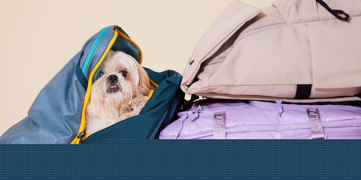 9 Best Travel Backpacks for Women in 2026, Tested by Editors