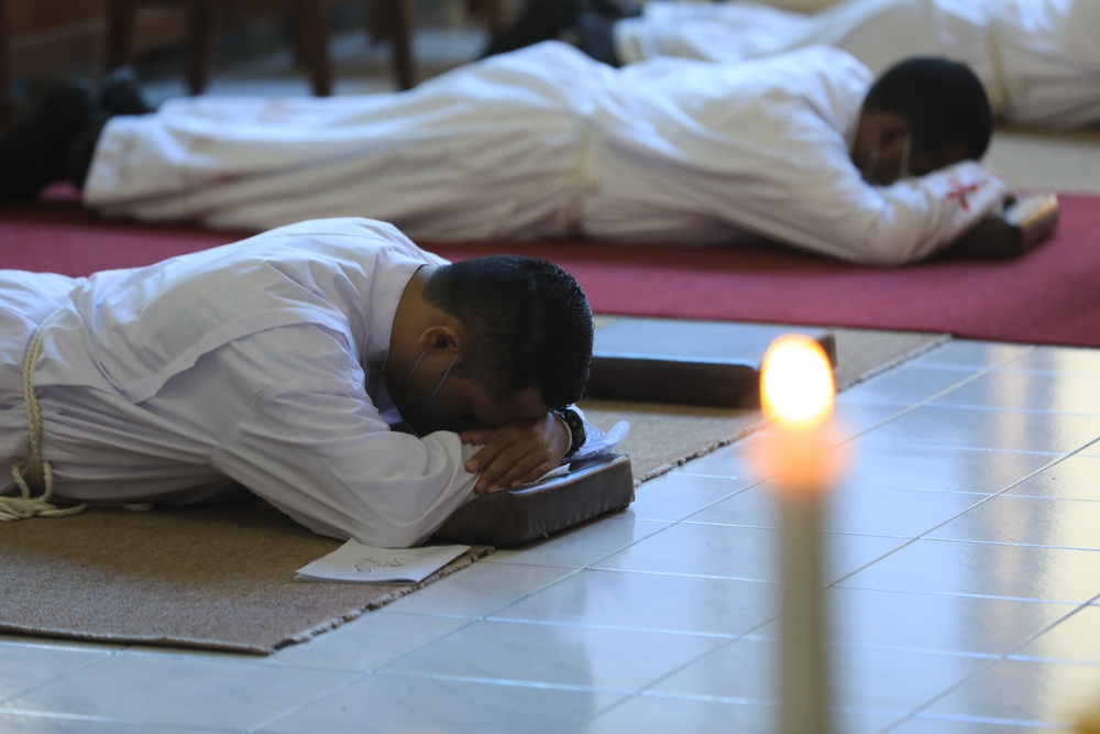 Comment on A System Perfectly Designed to Produce a Priestly Crisis by Nina