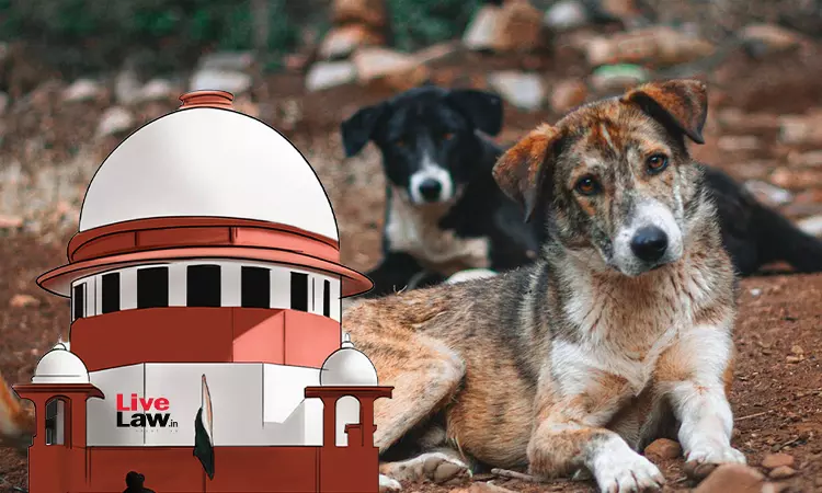 Supreme Court Reserves Orders In Stray Dogs Case; Asks AWBI To Expedite Centres' Applications For Recognition