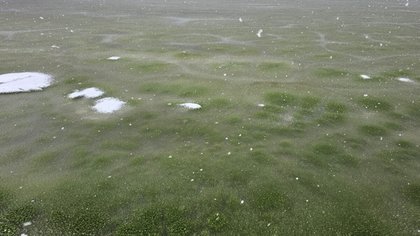 Whoa, Why Has This Frozen Lake Turned Green?