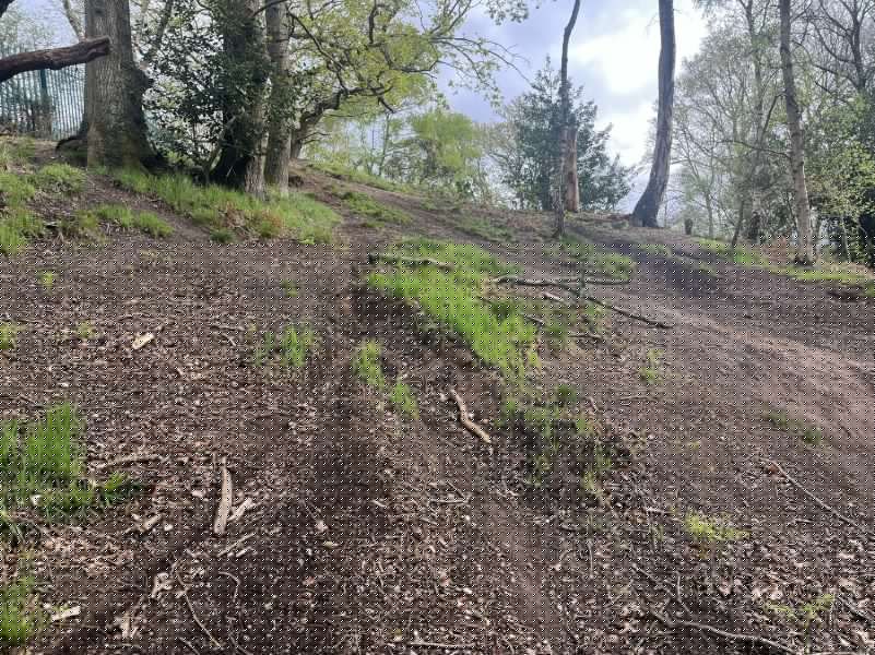 Claims bike riders are destroying a south Warwickshire glow-worm habitat