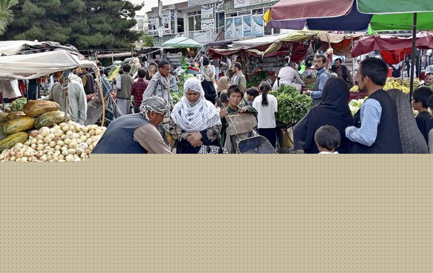 How US aid cutbacks hindered Afghanistan’s earthquake response