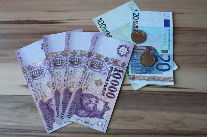 Have you heard about the concept of the Hungarian euro?