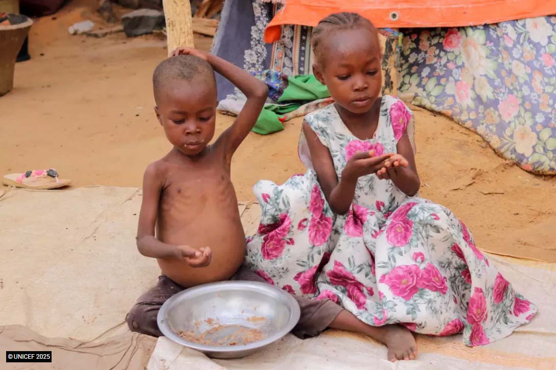 South Darfur’s Kalma camp ‘tragedy’ amid chronic food, water, medical shortage