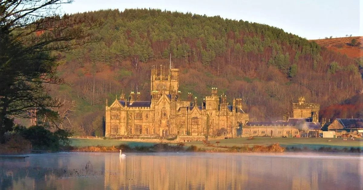 Beautiful park just off off the M4 motorway has a creepy castle and stunning wild beasts you'll find this time of year