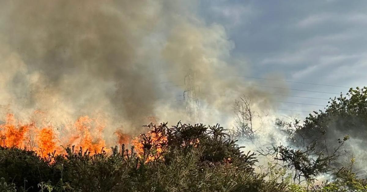 People urged to help keep county safe as red wildfire warning in place