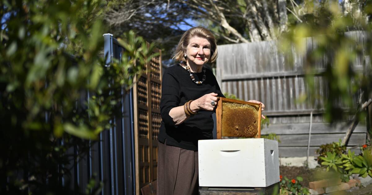 'Check your bees': Expert's stark warning after numerous hives wiped out
