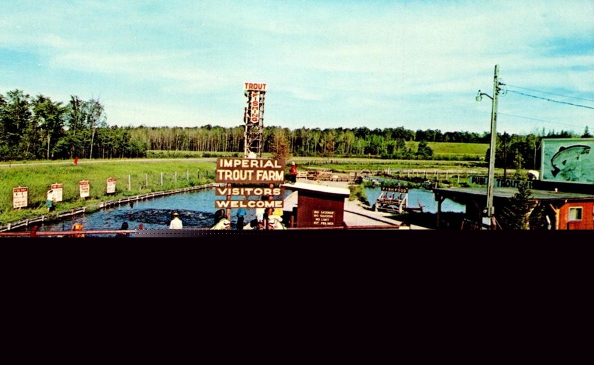 The Old Imperial Trout Farm, Indian River: Now a Parking Lot
