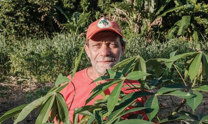 Landless Workers Fight for Fair Food