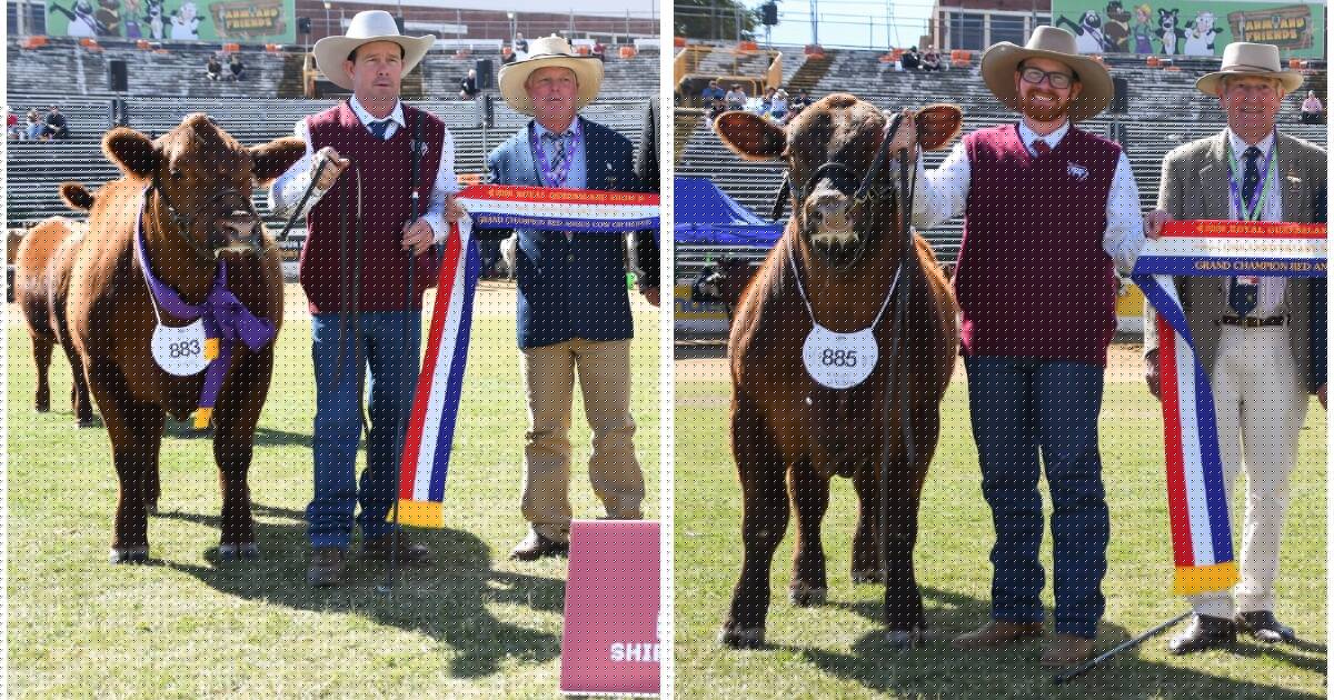 Out of four entries, see who came out on top in the Red Angus Ekka ring